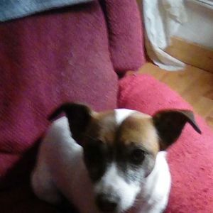 Meet your Posher, Calvin